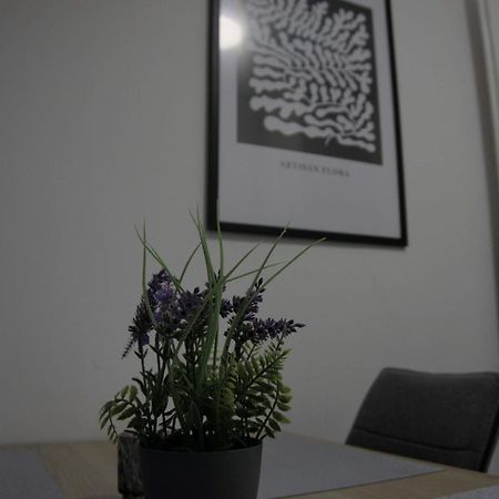 Swan Apartments Nuremberg Luaran gambar